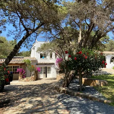Guest house Zinnibiri 3*